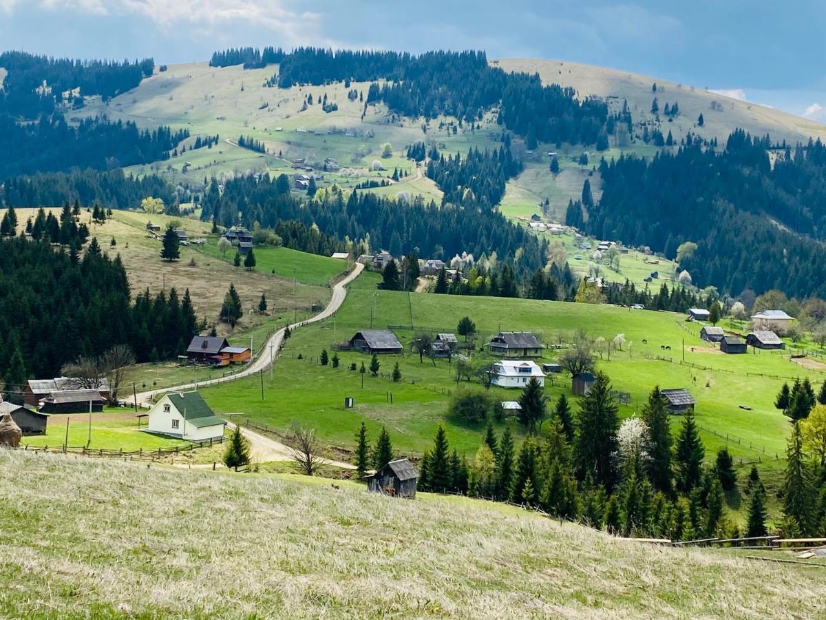 Rodynnyi Zatyshok Hostal Verkhovyna Exterior foto