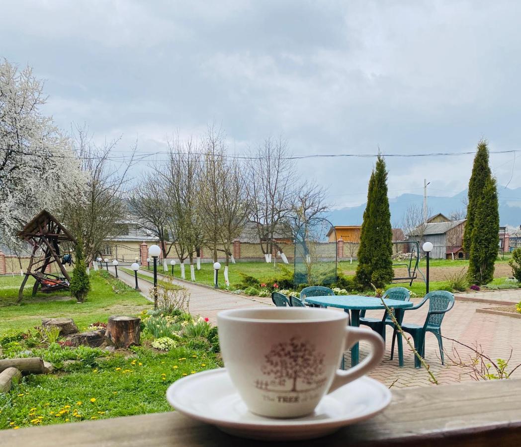 Rodynnyi Zatyshok Hostal Verkhovyna Exterior foto